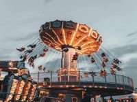 What's the Difference Between Theme Park and Amusement Park