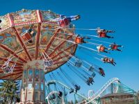 Rides That Require Safety Belts at Amusement Parks: What You Need to Know