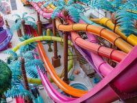 Which Is the Largest Amusement Park in the World?