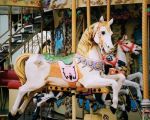 A Carousel at an Amusement Park Consists of a Gondola: What It Means for Your Ride