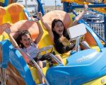 A Customer Sit in an Amusement Park Ride in Which Thrills and Safety Meet